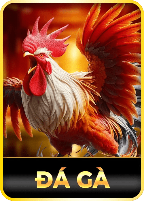 Đá Gà 98WIN